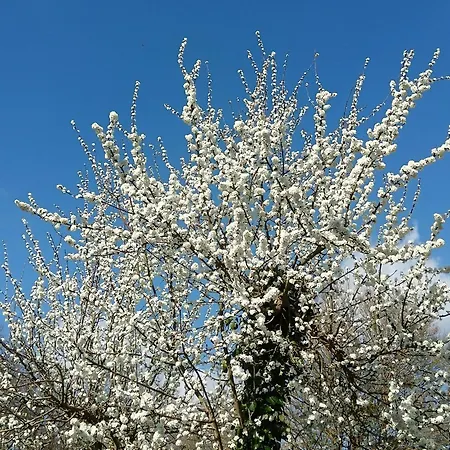 Holiday home Du Houssay Varennes (Yonne)