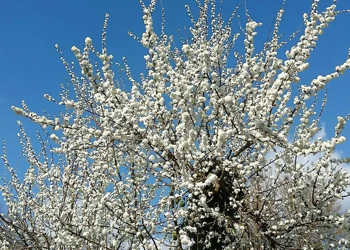 Сasa de vacaciones Du Houssay Varennes (Yonne)